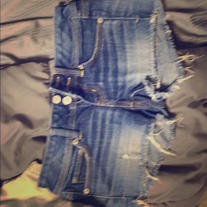 Woman’s America Eagle Shorts